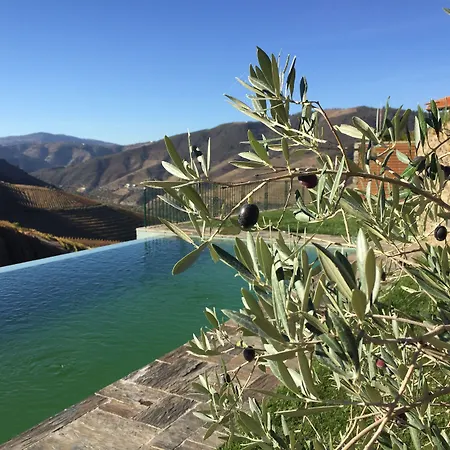 Quinta Da Gricha Maison d'hôtes Ervedosa do Douro