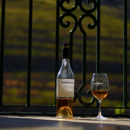 Quinta Da Gricha Ervedosa do Douro