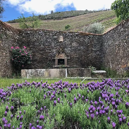 Quinta Da Gricha Ervedosa do Douro