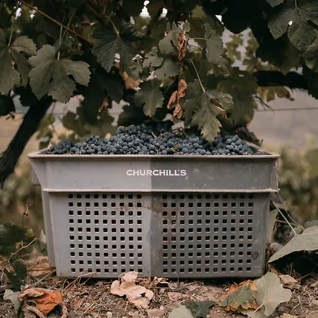 Pensjonat Quinta Da Gricha Ervedosa do Douro