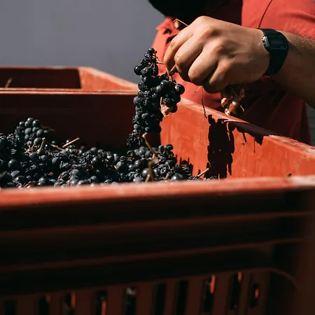 Quinta Da Gricha Maison d'hôtes 4*