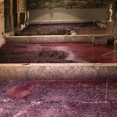 Quinta Da Gricha 4* Ervedosa do Douro