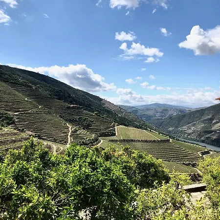 Casa de hóspedes Quinta Da Gricha
