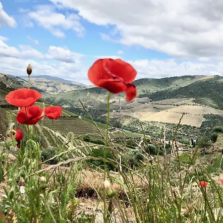 Quinta Da Gricha בית הארחה 4*