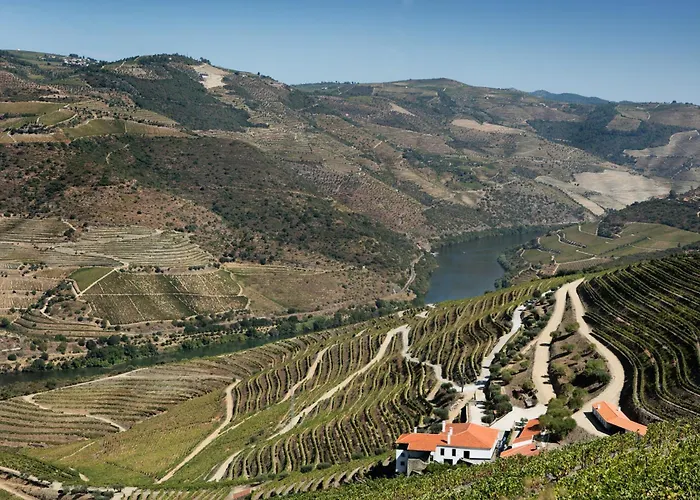Vendégház Quinta Da Gricha