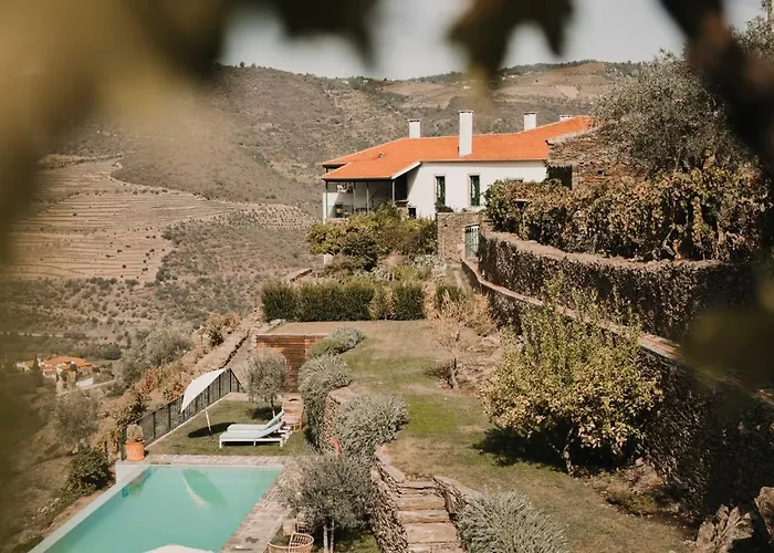 Quinta Da Gricha Affittacamere Ervedosa do Douro