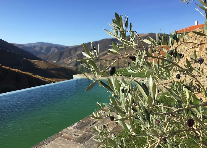 Quinta Da Gricha Affittacamere Ervedosa do Douro