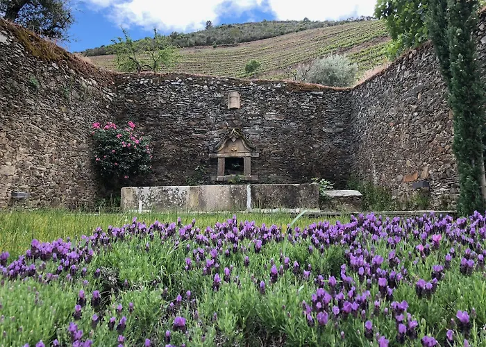 Quinta Da Gricha Ervedosa do Douro