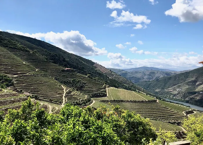 Affittacamere Quinta Da Gricha