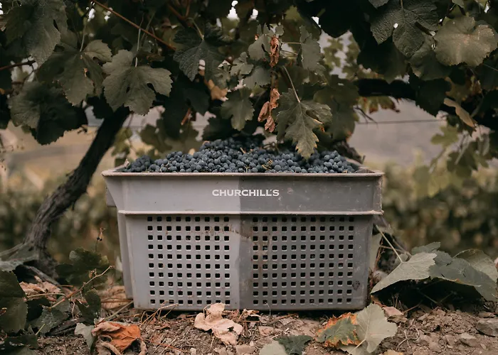 Vendégház Quinta Da Gricha Ervedosa do Douro