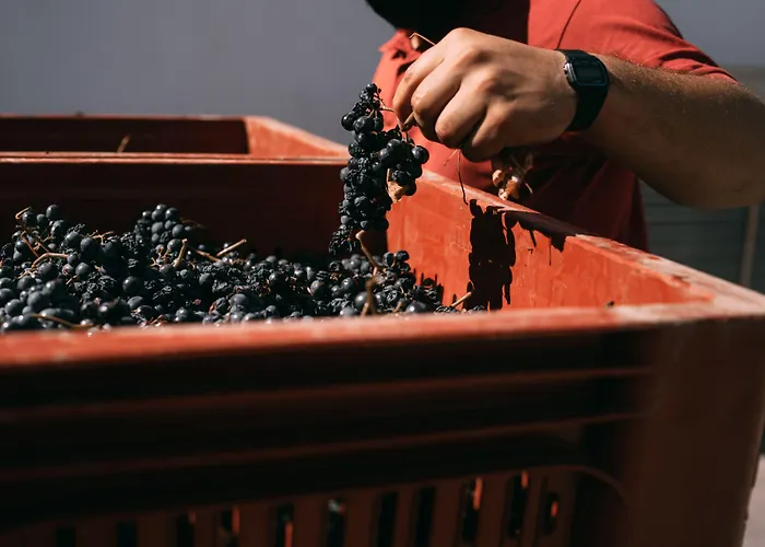 Quinta Da Gricha Vendégház 4*