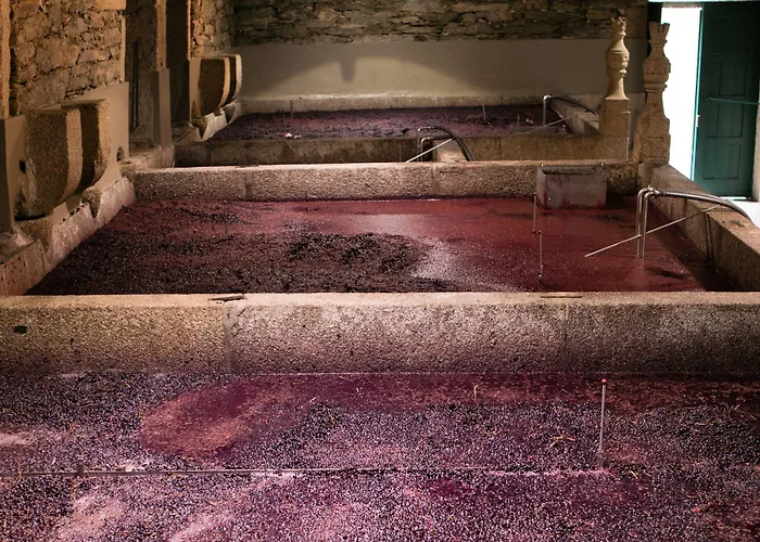 Quinta Da Gricha 4* Ervedosa do Douro