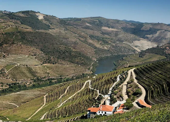 Affittacamere Quinta Da Gricha Ervedosa do Douro