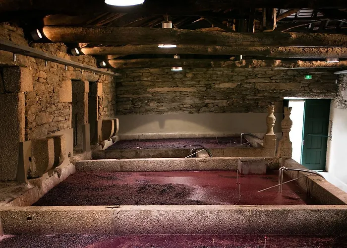 Quinta Da Gricha 4* Ervedosa do Douro