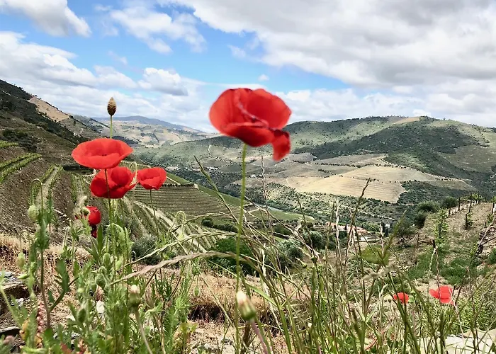 Quinta Da Gricha Vendégház 4*